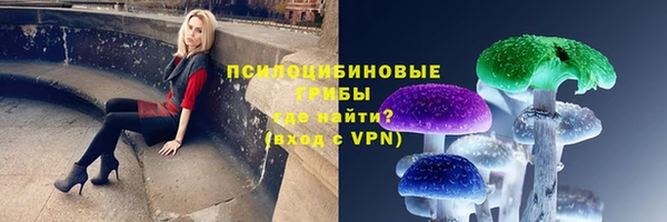 a pvp Белокуриха