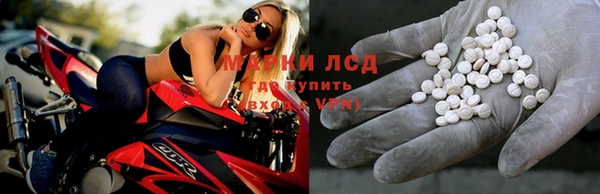 a pvp Белокуриха