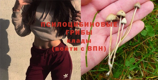 a pvp Белокуриха