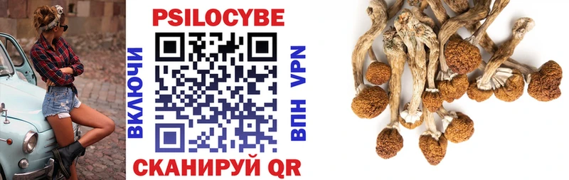 Галлюциногенные грибы Psilocybe ссылка на мегу ССЫЛКА Коркино